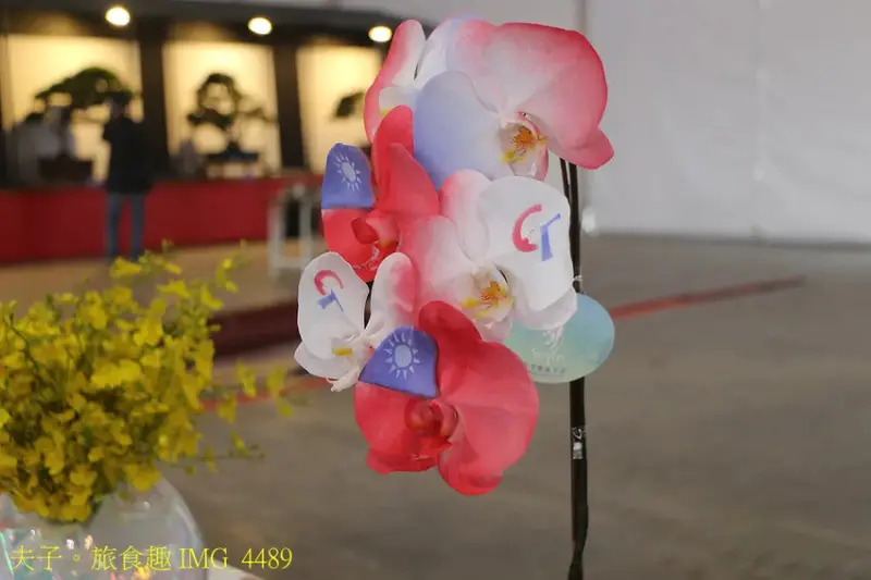 2025臺灣國際蘭展 鏡像世界 在七彩繽紛的色彩反射中 看見