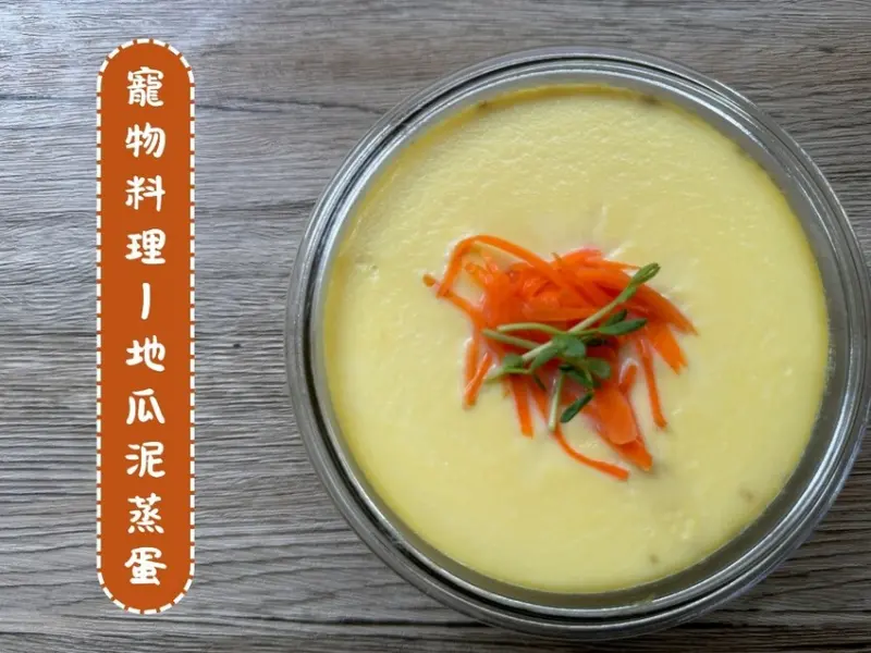 寵物料理推薦！用瓜瓜園的冰烤地瓜做簡單又營養的「地瓜泥蒸蛋」～