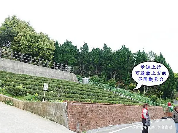 2025龍泉步道上行可抵葉家茶園觀景台7.jpg