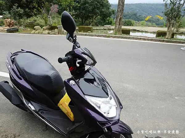 魯冰花裝藝景觀池塘-大北坑休閒農業區 (2).jpg