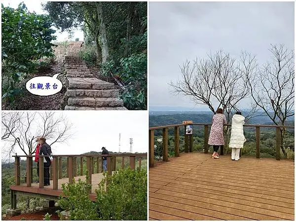 葉家茶園觀景台景色-2025龍潭魯冰花季 (4).jpg