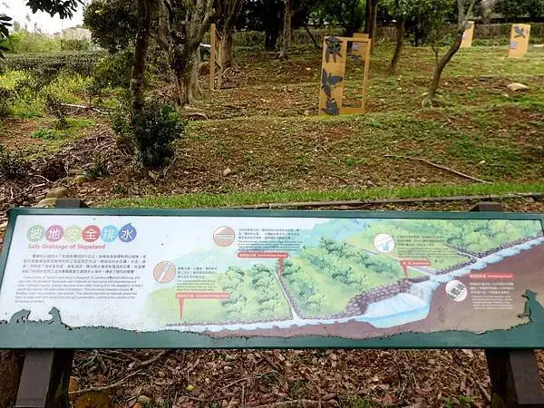 水土保持戶外教室-龍潭魯冰花 (4).JPG