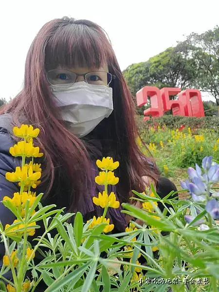 水土保持戶外教室-龍潭魯冰花 (2).jpg