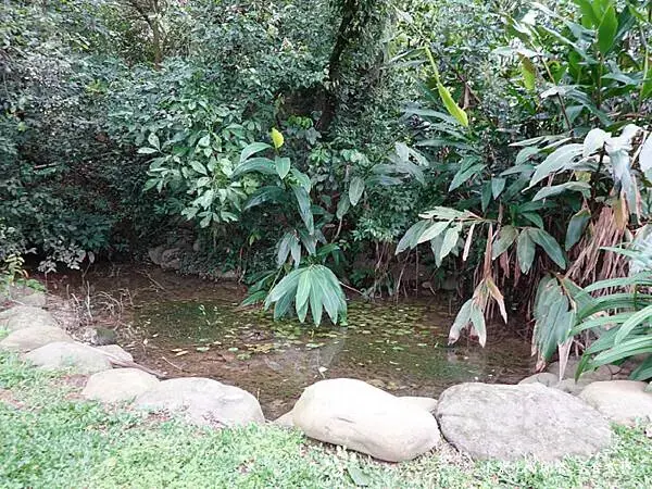 生態農塘-大北坑遊客服務中心對面 (1).jpg