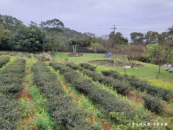 景觀農塘-大北坑遊客服務中心對面 (4).jpg