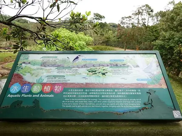 景觀農塘水生動植物介紹-大北坑遊客服務中心對面.JPG