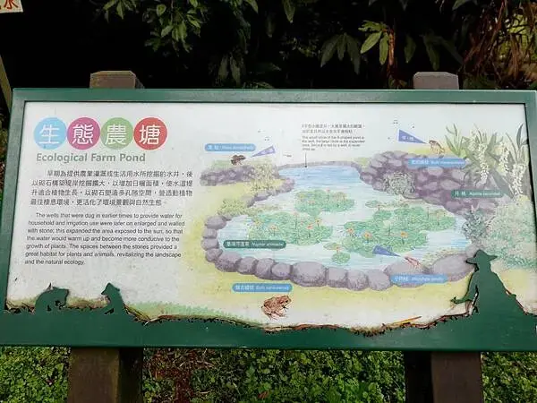 生態農塘-大北坑遊客服務中心對面 (3).JPG