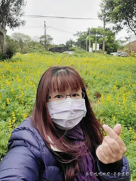 2025大北坑遊客中心(美人世家)下方魯冰花海 (2).jpg