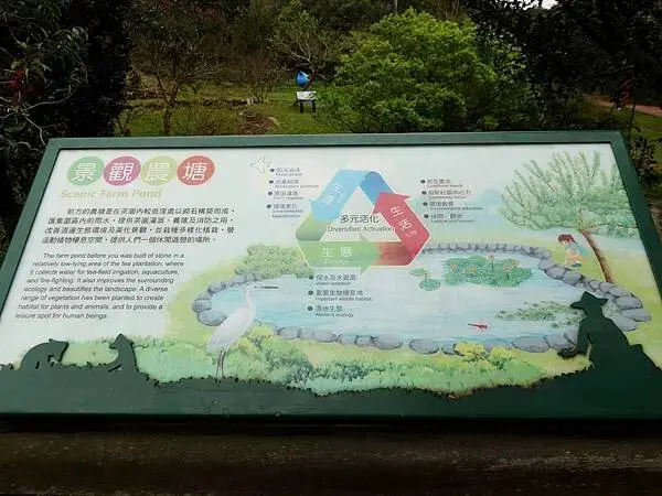 景觀農塘-大北坑遊客服務中心對面 (3).JPG