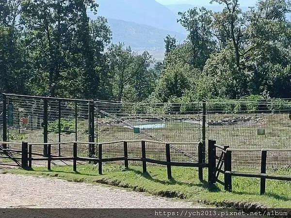 布拉索夫熊保育區