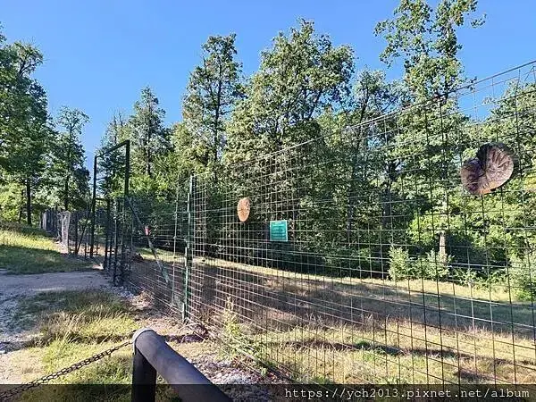 布拉索夫熊保育區