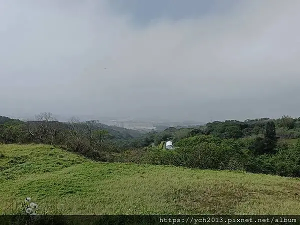 桃園蘆竹大古山賞香水櫻，發現桃園燈會展場