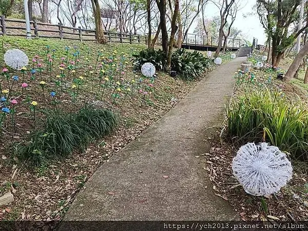 桃園蘆竹大古山賞香水櫻，發現桃園燈會展場