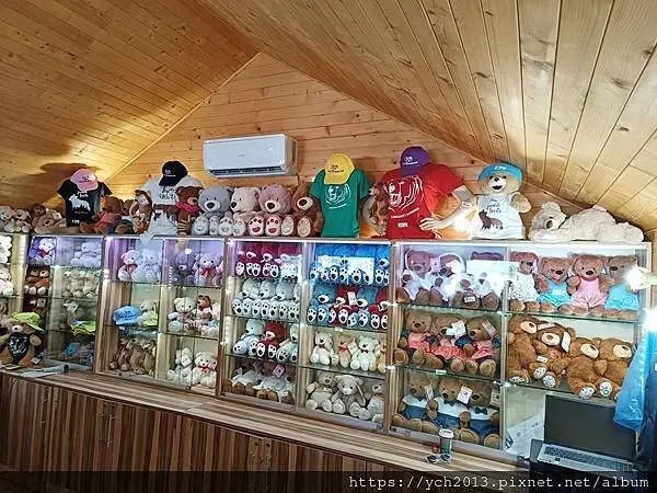 布拉索夫熊保育區