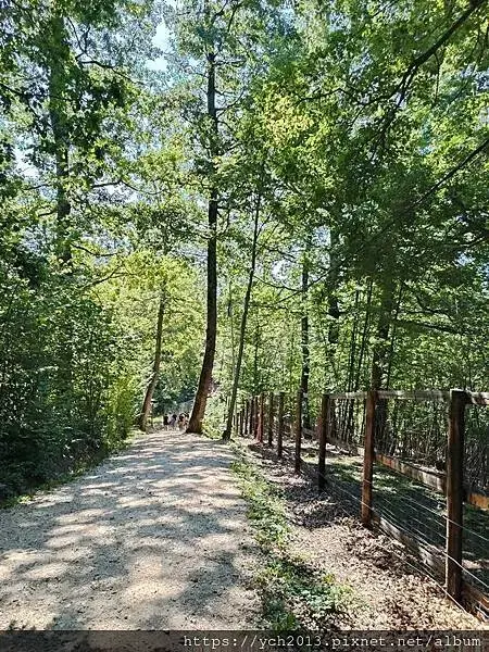 布拉索夫熊保育區