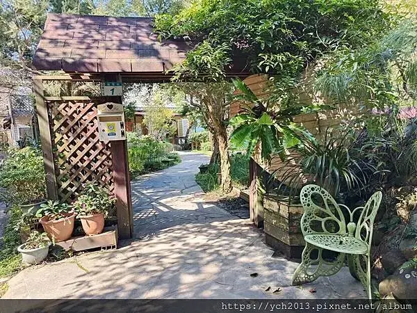 蘆竹賞櫻好去處，竹圃茶園小木屋農場幽靜自然好風光