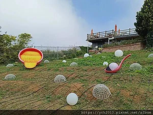 桃園蘆竹大古山賞香水櫻，發現桃園燈會展場
