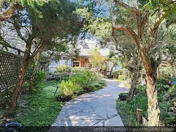 蘆竹賞櫻好去處，竹圃茶園小木屋農場幽靜自然好風光