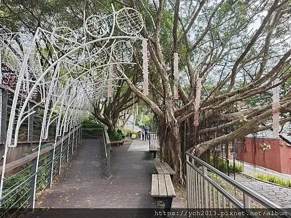 桃園蘆竹大古山賞香水櫻，發現桃園燈會展場