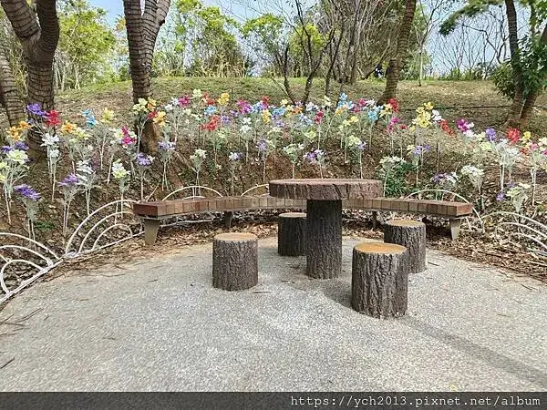 桃園蘆竹大古山賞香水櫻，發現桃園燈會展場
