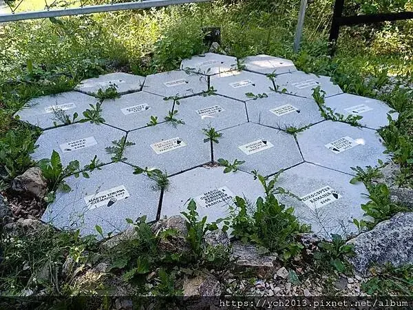 布拉索夫熊保育區