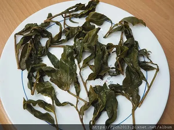 華岡製茶廠評價／高山烏龍茶葉、台灣高山好茶開箱推薦，清香潤喉