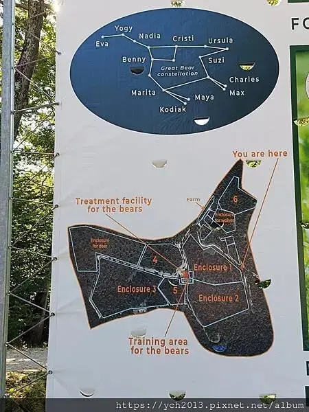 布拉索夫熊保育區