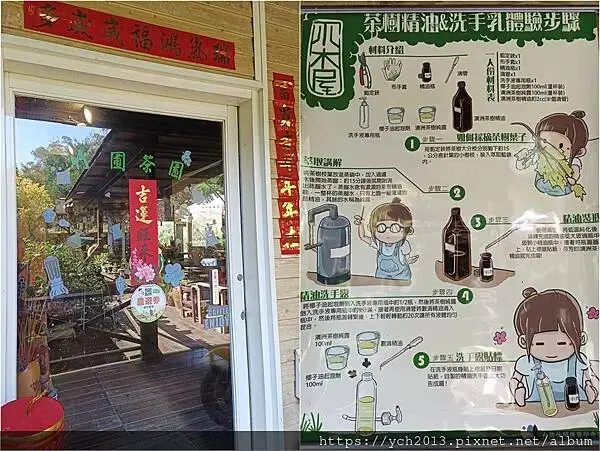 蘆竹賞櫻好去處，竹圃茶園小木屋農場幽靜自然好風光