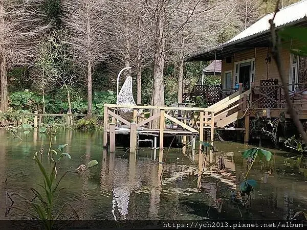 蘆竹賞櫻好去處，竹圃茶園小木屋農場幽靜自然好風光