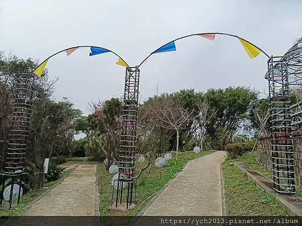 桃園蘆竹大古山賞香水櫻，發現桃園燈會展場