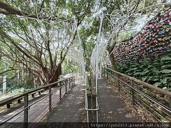 桃園蘆竹大古山賞香水櫻，發現桃園燈會展場