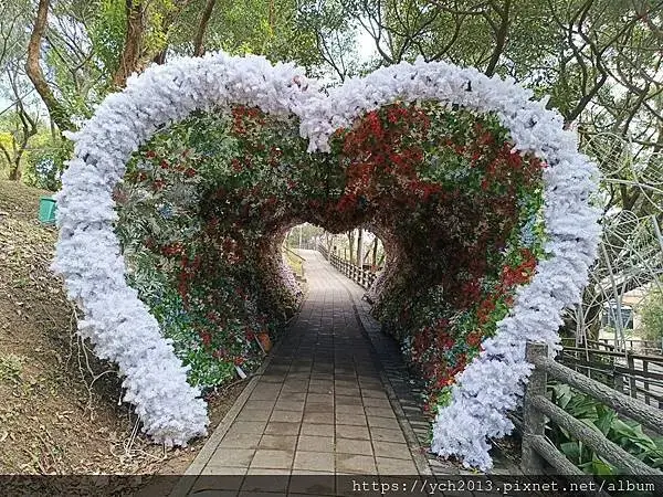 桃園蘆竹大古山賞香水櫻，發現桃園燈會展場