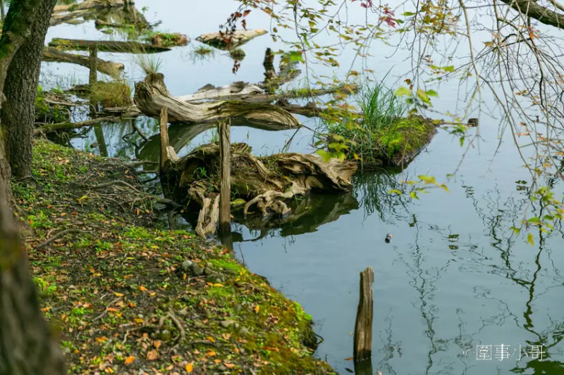 台灣好行499超值一日遊！來搭乘綠21宜蘭冬山河線暢遊羅東跟宜蘭傳統藝術中心吧～超划算套票持續熱賣中喔喔喔 @圍事小哥的幸福相框