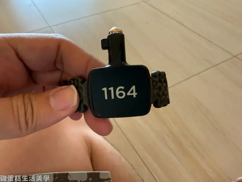 【韓國旅遊】高陽AQUAFIELD汗蒸幕