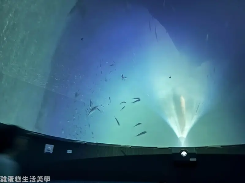 【韓國旅遊】高陽AQUAFIELD汗蒸幕