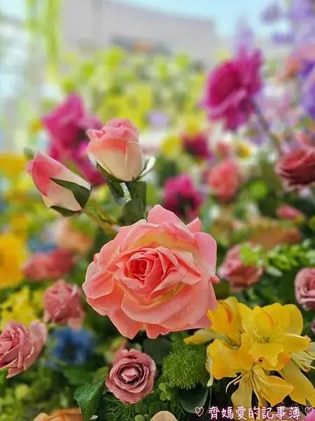 林口三井MITSUI OUTLET PARK「莫內花園秘境」