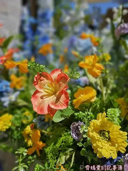 林口三井MITSUI OUTLET PARK「莫內花園秘境」