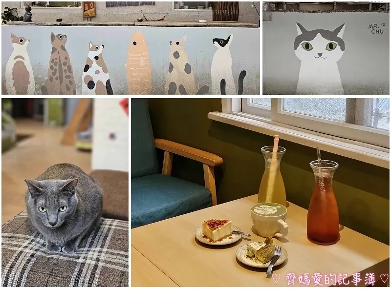 捷運頂溪．Mr. Chu啾  咖啡食堂 / 擼貓咖啡館