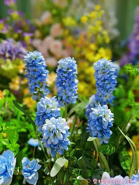 林口三井MITSUI OUTLET PARK「莫內花園秘境」