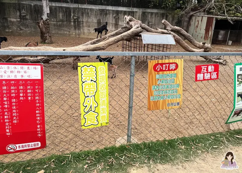 【彰化市景點】日月山景休閒農場，免門票入園，紅蘿蔔20元、牧