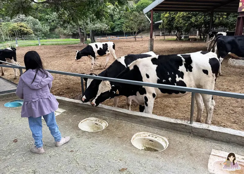 【彰化市景點】日月山景休閒農場，免門票入園，紅蘿蔔20元、牧