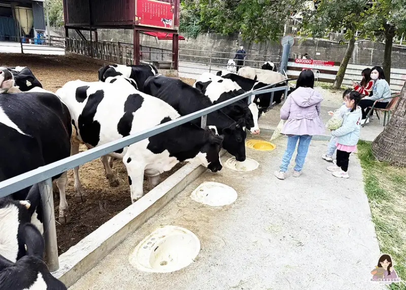 【彰化市景點】日月山景休閒農場，免門票入園，紅蘿蔔20元、牧