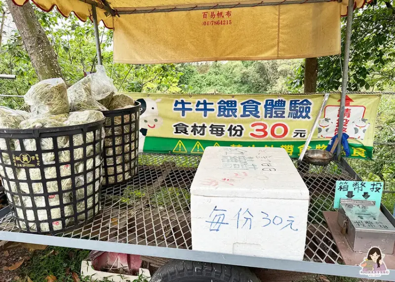 【彰化市景點】日月山景休閒農場，免門票入園，紅蘿蔔20元、牧