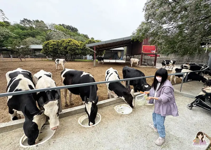 【彰化市景點】日月山景休閒農場，免門票入園，紅蘿蔔20元、牧