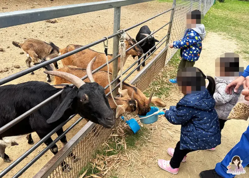 【彰化市景點】日月山景休閒農場，免門票入園，紅蘿蔔20元、牧
