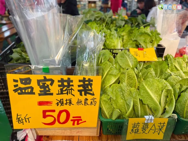 ★新竹親子景點★ 金勇番茄農場，全國番茄品種最多的休閒農場，