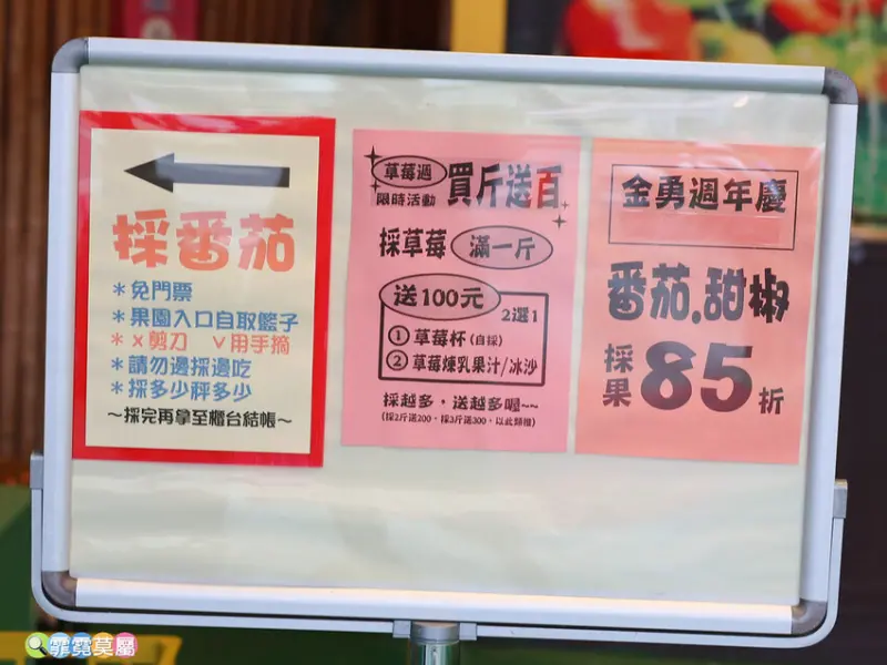 ★新竹親子景點★ 金勇番茄農場，全國番茄品種最多的休閒農場，