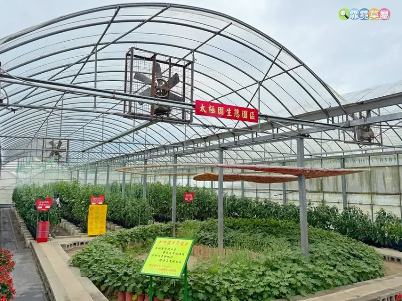 ★新竹親子景點★ 金勇番茄農場，全國番茄品種最多的休閒農場，