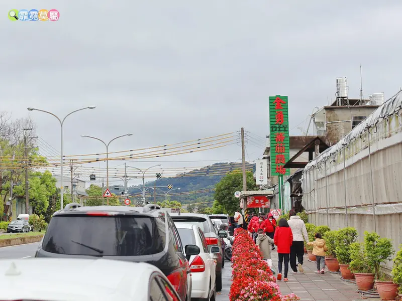★新竹親子景點★ 金勇番茄農場，全國番茄品種最多的休閒農場，
