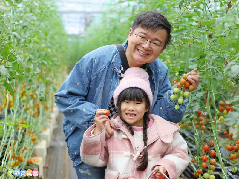 ★新竹親子景點★ 金勇番茄農場，全國番茄品種最多的休閒農場，